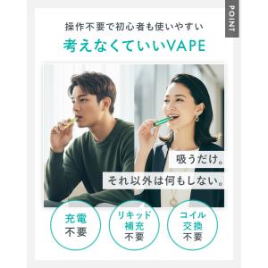 ベイプ 使い捨て シーシャ ポケットシーシャ ...の詳細画像2