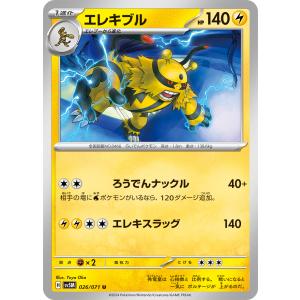海外ポケモンセンター限定 ポケモンカードゲーム プレイマット