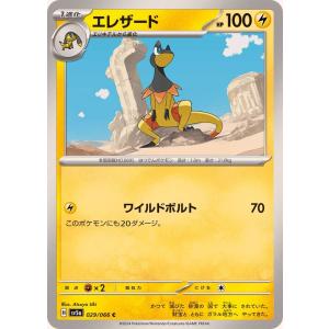 ポケモンカードゲーム サンダー R 027/066 : メモリーオンライン