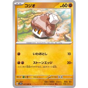ポケモンカードゲーム トドロクツキex SAR 090/066 : メモリー