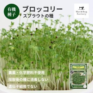 スプラウト 種 タネ 栽培 ブロッコリー ブロッコリースプラウト 抗酸化作用 野菜 家庭菜園 水耕栽培 有機種子 育てる 若芽 グリーン おしゃれ 園芸 オカ