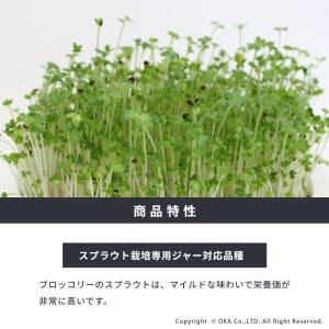 スプラウト 種 タネ 栽培 ブロッコリー ブロ...の詳細画像1