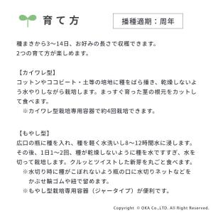 スプラウト 種 タネ 栽培 ブロッコリー ブロ...の詳細画像2