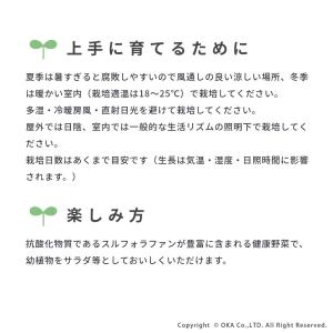 スプラウト 種 タネ 栽培 ブロッコリー ブロ...の詳細画像3