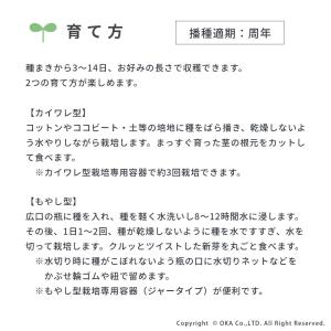 スプラウト 種 タネ 栽培 赤ラディッシュ 赤...の詳細画像2