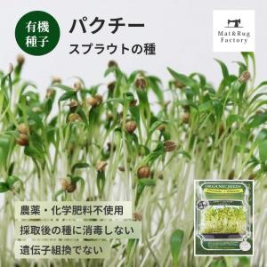 種子] アガベ オテロイ 50粒｜SEEDSTOCK : SEEDSTOCK ヤフーショップ
