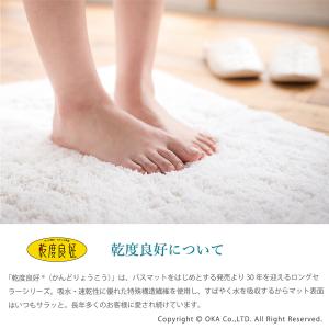 大判 バスマット PLYS プリス カララカ ...の詳細画像2