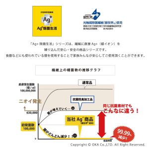 スリッパ ルームシューズ 洗える 室内履き A...の詳細画像2