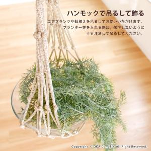 収納 ハンモック PLYS TUTTO プリス...の詳細画像3