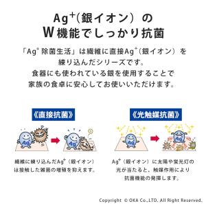 ふきん 布巾 Ag+ エージープラス 除菌ふき...の詳細画像3