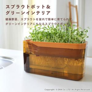 スプラウト 栽培キット PLYS スプラウトポ...の詳細画像2