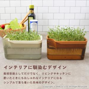 スプラウト 栽培キット PLYS スプラウトポ...の詳細画像3