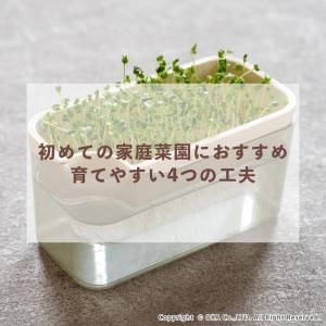 スプラウト 栽培キット PLYS スプラウトポ...の詳細画像4