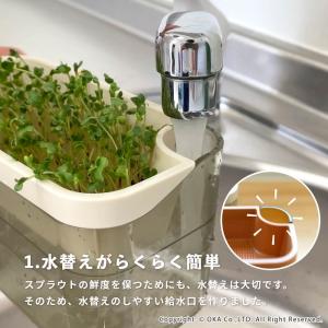スプラウト 栽培キット PLYS スプラウトポ...の詳細画像5