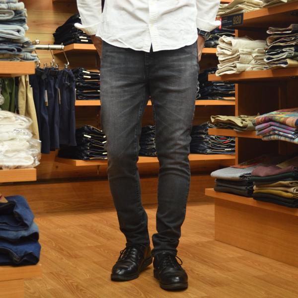 JAPAN BLUE JEANS (ジャパンブルージーンズ)  L29 DGY