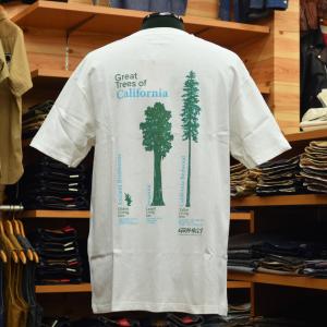 Yohji Yamamoto 新品 カクタスジャック Cactus Jack x ワイルド