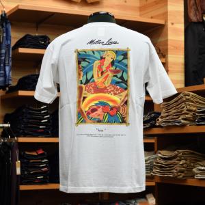 FENDI 極美品□FENDI フェンディ FY0936 APM3 コットン FFロゴ ズッカ  