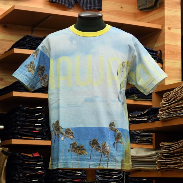 SUN SURF (サンサーフ) 2021年 PRINT Tシャツ ISLAND VIEW ブルー