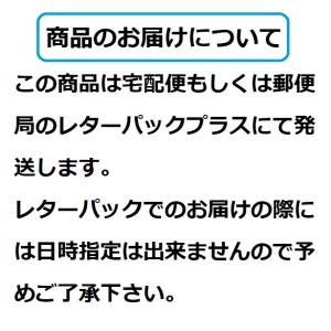 K-ブラッシュL 30ml スプレータイプ (...の詳細画像5