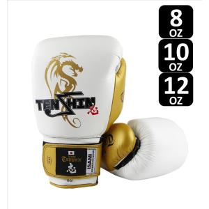 ISAMI 天心 グローブ 本革製 TP-001 (8-12オンス) //イサミ