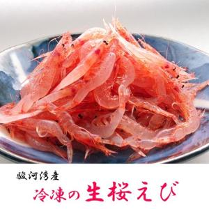 生桜えび 駿河湾特産 お刺身桜海老 100g小分けパック 要冷凍｜しらす・桜海老の本橋水産Yahoo!店