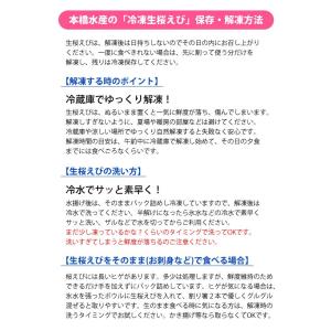 生桜えび 駿河湾特産 お刺身桜海老 国産 静岡...の詳細画像3