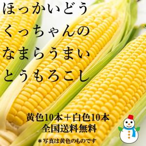 【8月14日まで予約受付中】北海道倶知安町 農場...の商品画像