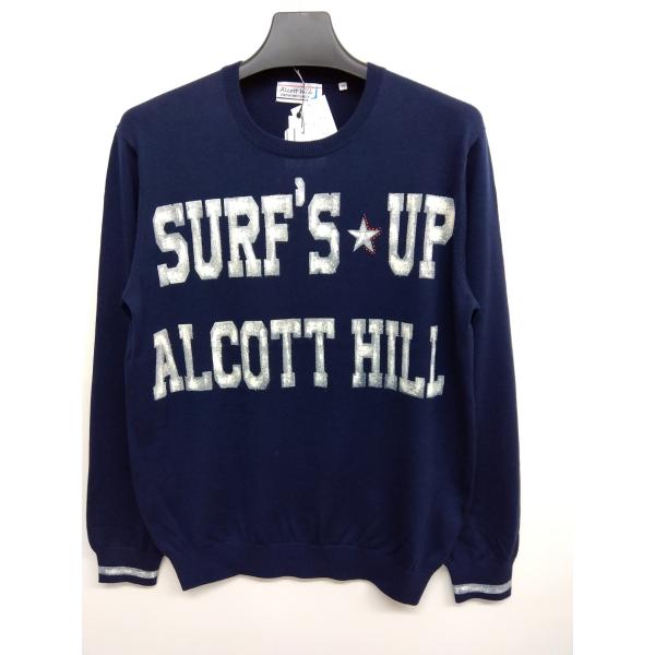 セーター 40％OFF Ａlcott Ｈill 秋冬物ロゴ入り(50)2L 新品 送料無料