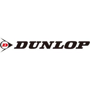 業販 タイヤ 4本 ダンロップ ALL SEASON MAXX AS1 225/60R17 DUNLOP マックス エーエスワン オールシーズンタイヤ タイヤのみ 新品｜m2k