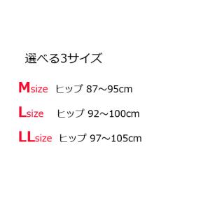 ペチコート パンツ スカート Yラインカバー ...の詳細画像5