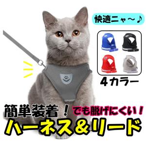 ハーネス 猫 おしゃれ 簡単装着 子猫 脱げない 中型猫 メッシュ かわいい 胴輪 リード 散歩 光る ペット キャット 犬 猫の ウェア 抜けない 猫用 リードセット