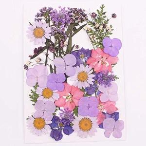 アジサイ 押し花ネイルの商品一覧 通販 Yahoo ショッピング