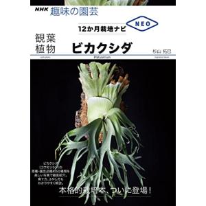 ビカクシダ