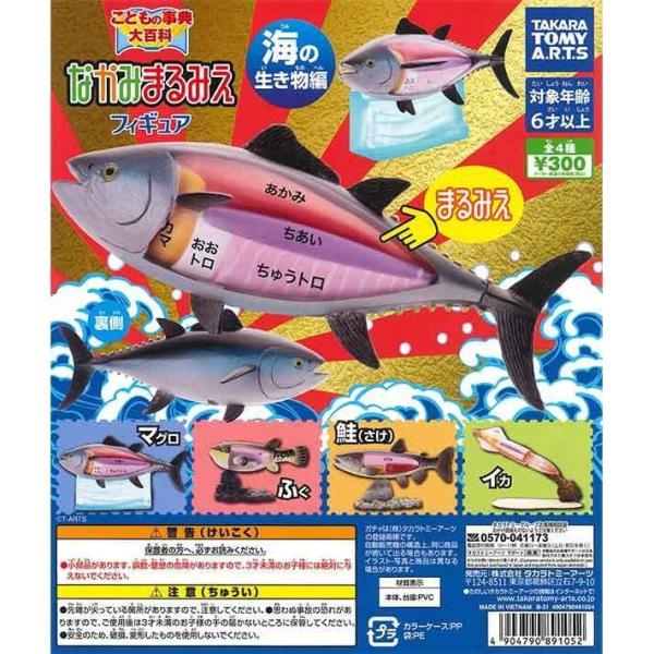 タカラトミーアーツ ガチャ こどもの事典 なかみまるみえフィギュア 海の生き物編 全4種 コンプセッ...