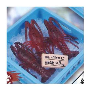 遊戯王 SD47-JPP03 青き眼の祈り (日本語版 25th クォーター