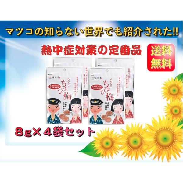 ちょび梅 8ｇｘ4袋セット 無添加天日乾燥梅肉  熱中症対策