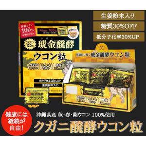 【1000円ポッキリ】ウコン 粒 個包装 30...の詳細画像2