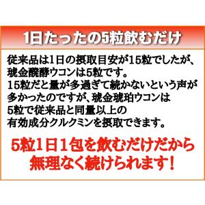 【1000円ポッキリ】ウコン 粒 個包装 30...の詳細画像3