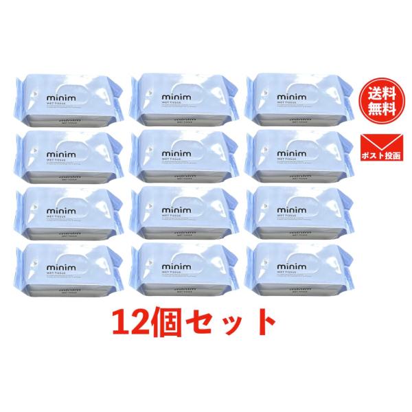 ウェットティッシュ ノンアルコール ミニ 8枚×12個 1000円ポッキリ メール便 コストコ 通販...