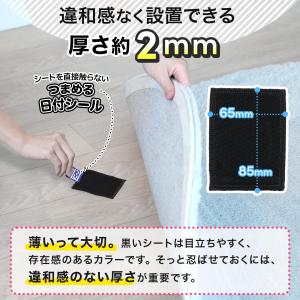 【1000円ポッキリ】レック バルサン ダニ捕...の詳細画像3