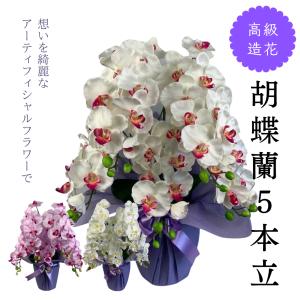 造花 胡蝶蘭 胡蝶蘭5本立 WHT/BTY(ホワ...の商品画像