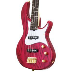 Aria Pro II アンプ付き入門セット ...の詳細画像2