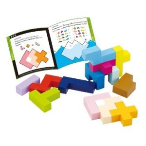 エドインターの知の贈り物　立体パズル