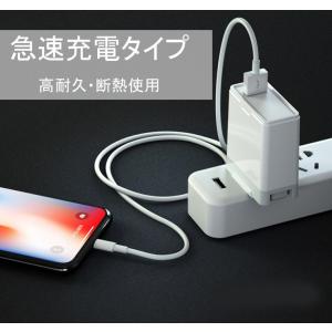 ライトニングケーブル iPhone 1m 2本...の詳細画像3