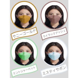 マスク 30枚 220円キャンペーン カラーは...の詳細画像5