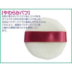 綺羅化粧品(キラ化粧品 kira化粧品)/ プ...の詳細画像5