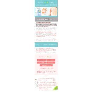 キラ化粧品 beエラスチンEX<br&g...の詳細画像3