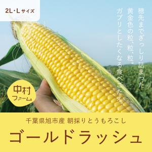 ゴールドラッシュ 5kg （2L・Lサイズ）