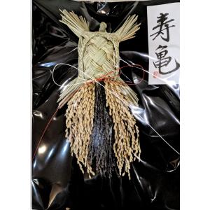 国産 亀のしめ飾り　通常の一番人気サイズ