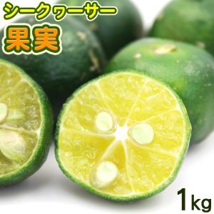 沖縄産 シークワーサー果実 1kg　/青切りシークワーサー｜maasanichi